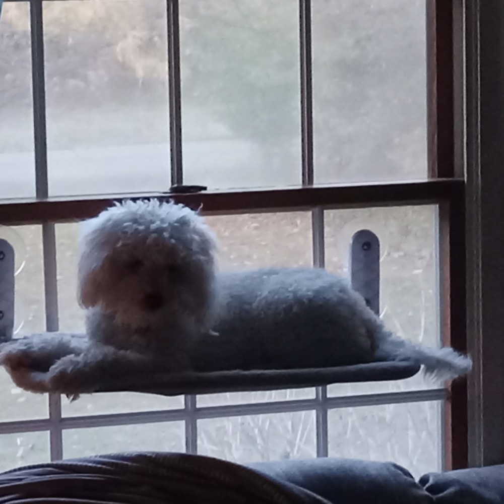 Meet your Posher, Jack